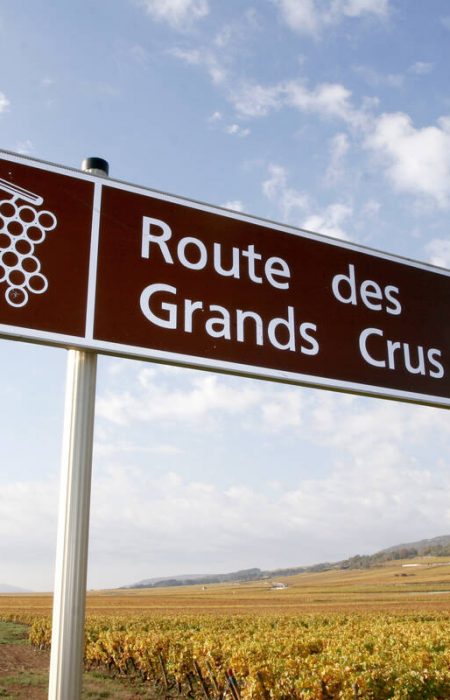 route_des_grands_crus